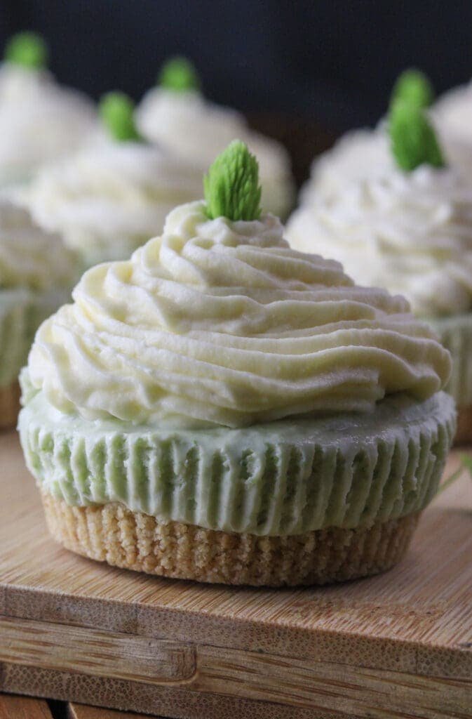 Image of a beautiful spruce tip cake with a fresh spruce tip on top. 