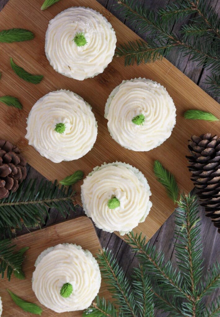 Image of mini spruce tips decorated and served with small spruce branches in the background