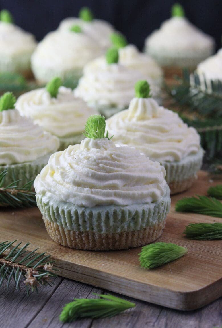 Image of mini spruce tip cakes