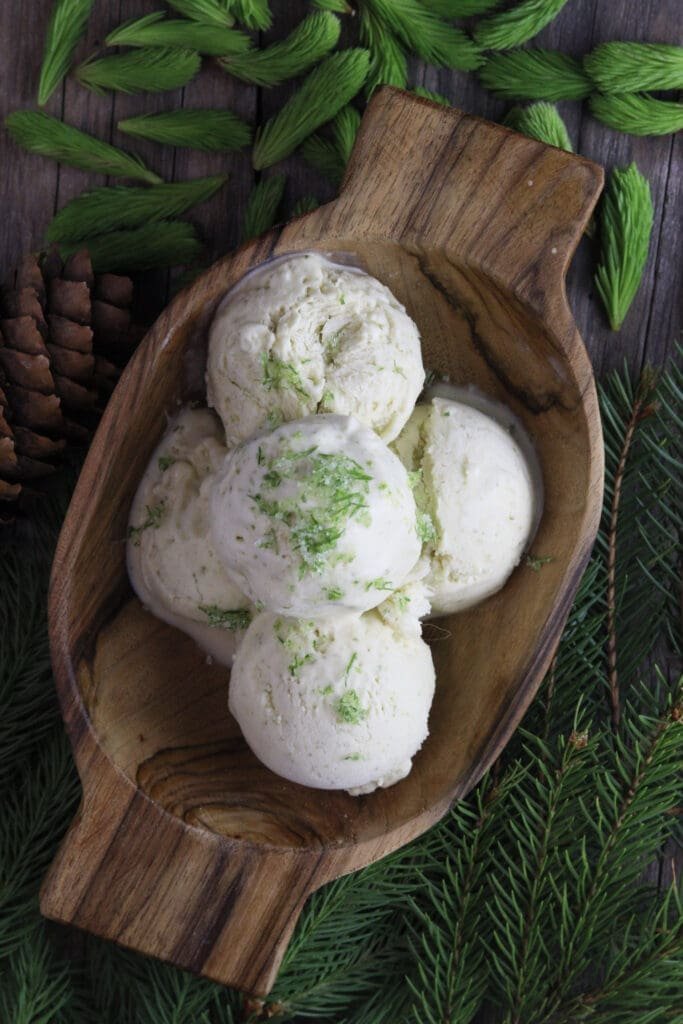 image of mouth watering no churn spruce tip ice cream with spruce tips and spruce branches in the background