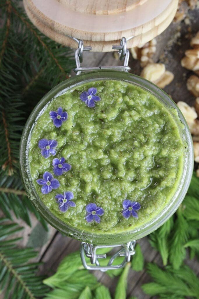 Spruce tip pesto with flowers stored in a jar.