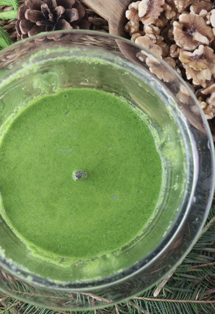 Image of how blended spruce tips with olive oil look like.