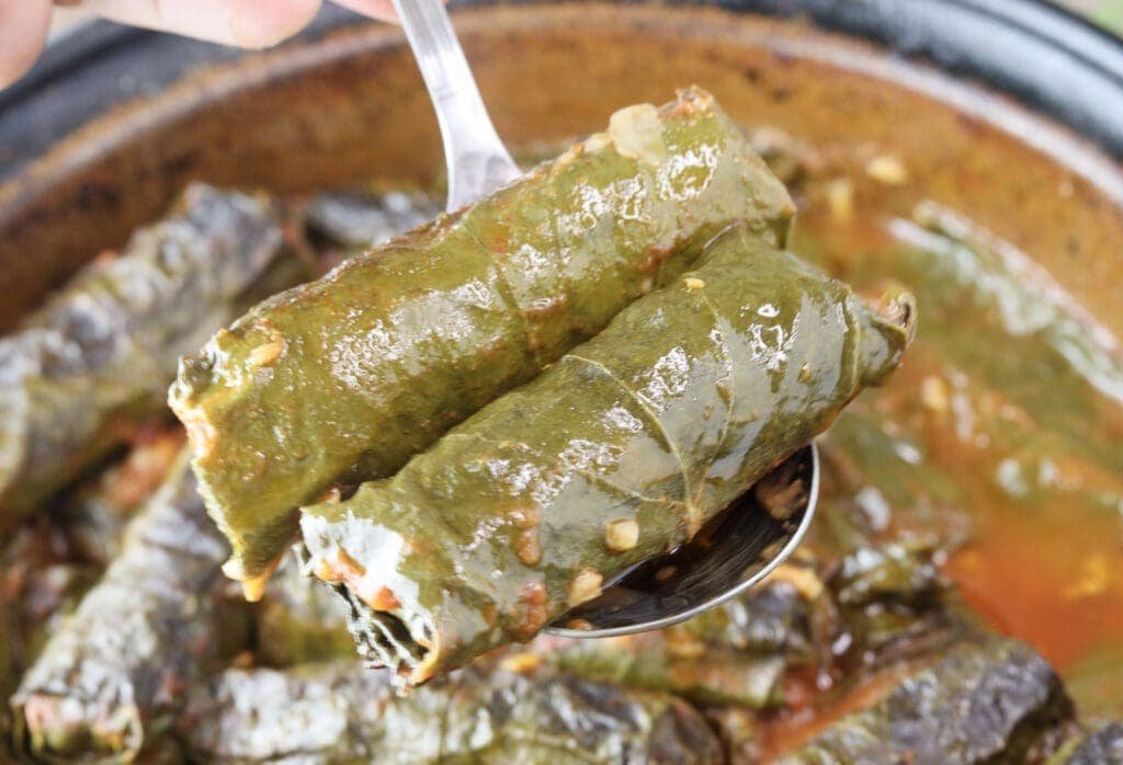 Two rolls of japrak being served on a plate with a serving spoon.