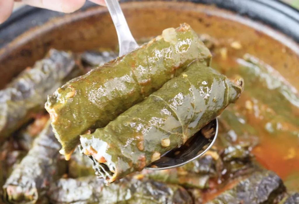 Two rolls of japrak being served on a plate with a serving spoon. 