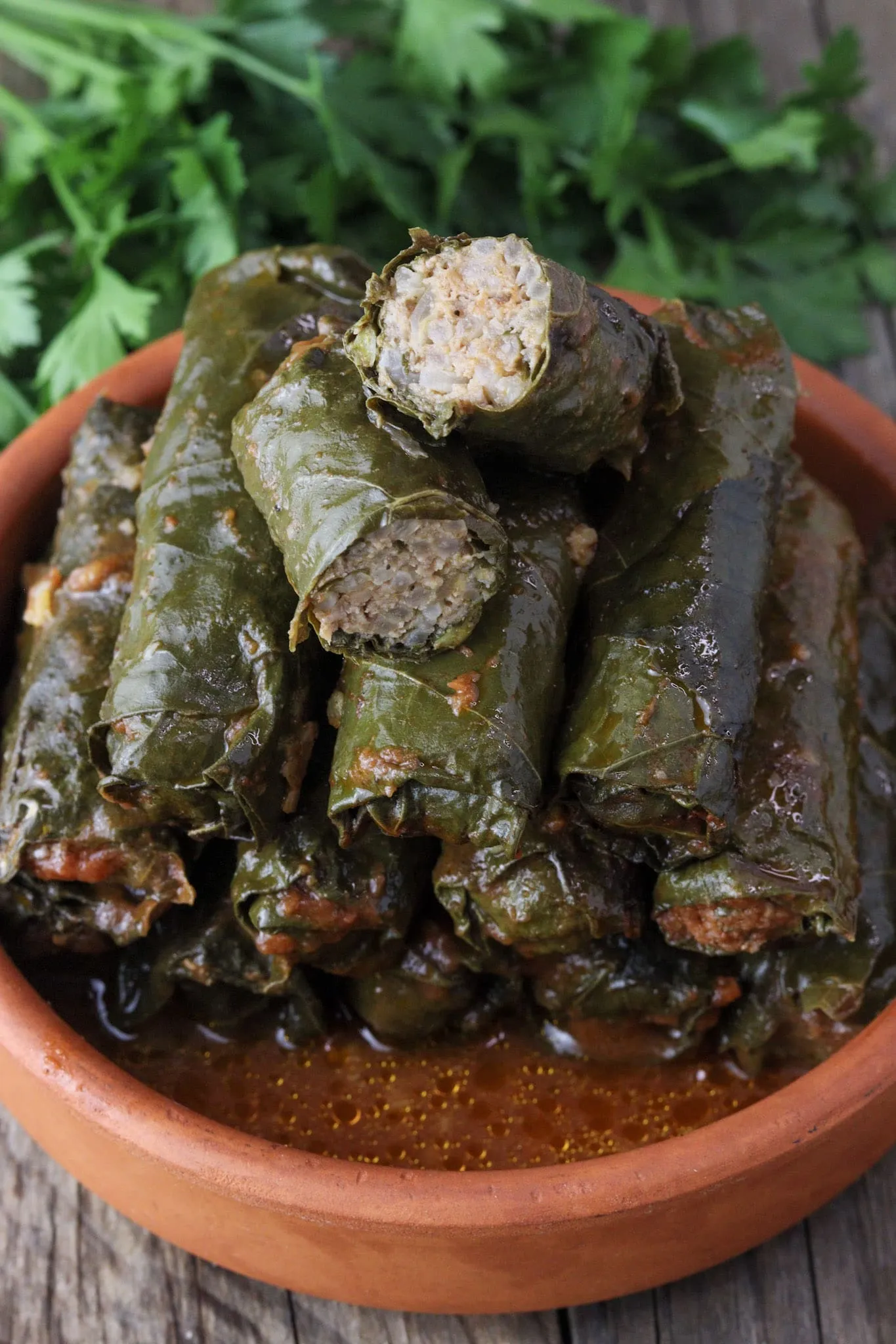 Traditional Bosnian stuffed grape leaves - Japrak