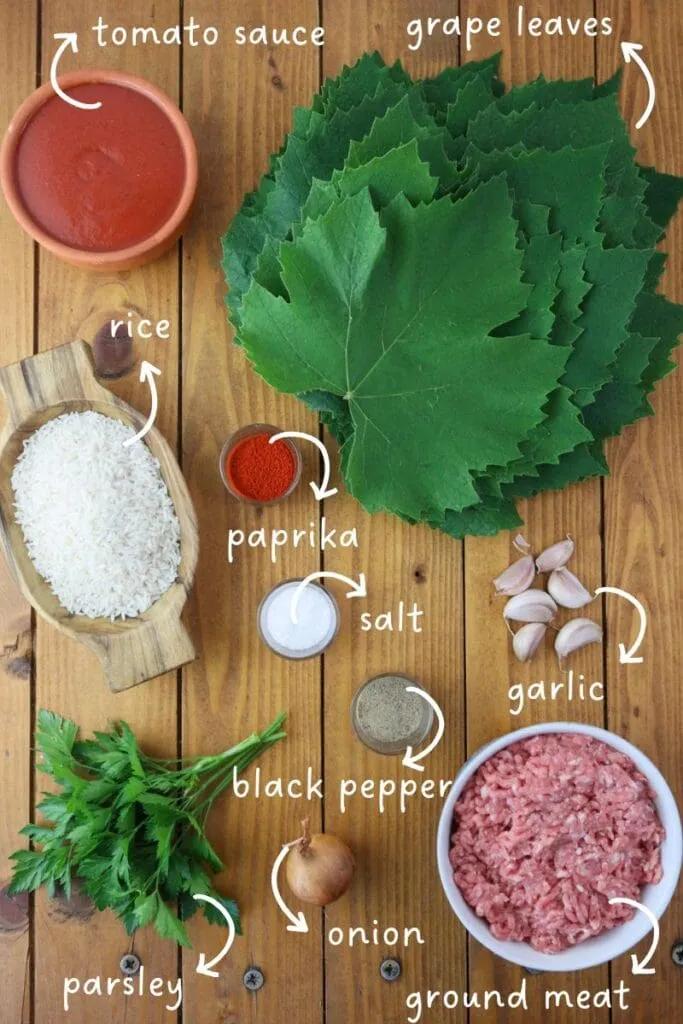 Ingredients for japrak: grape leaves, ground meat, rice, tomato sauce, onion, garlic and spices.