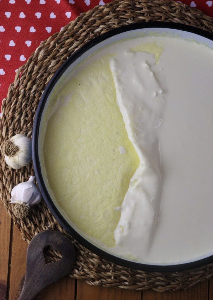 the layer of kajmak or clotted cream on top of the milk