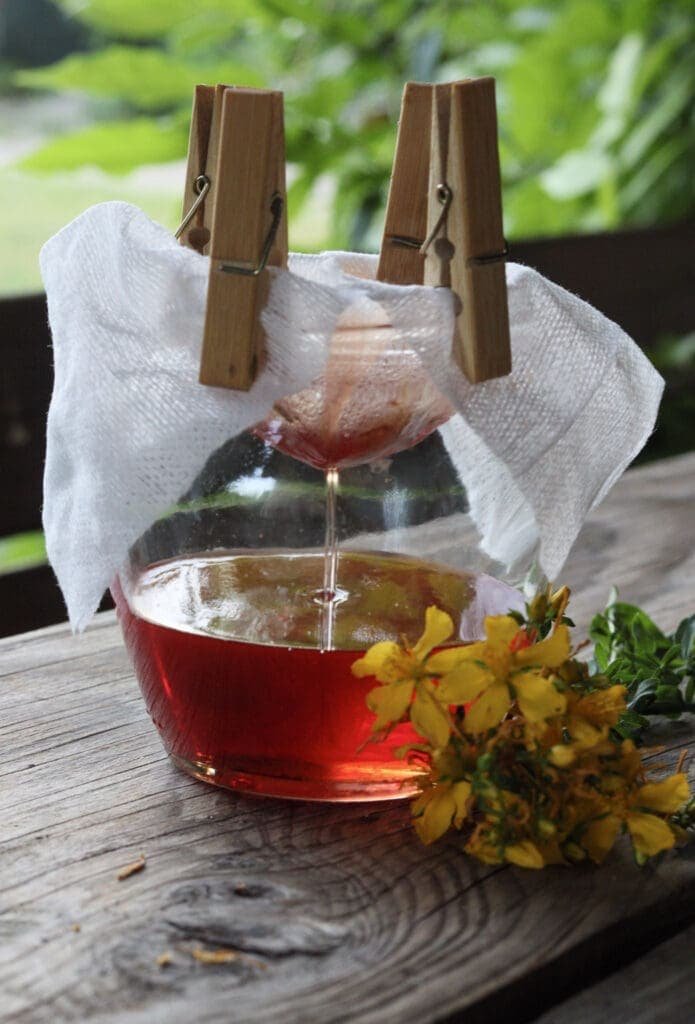Image showing how to strain the oil when fully infused 