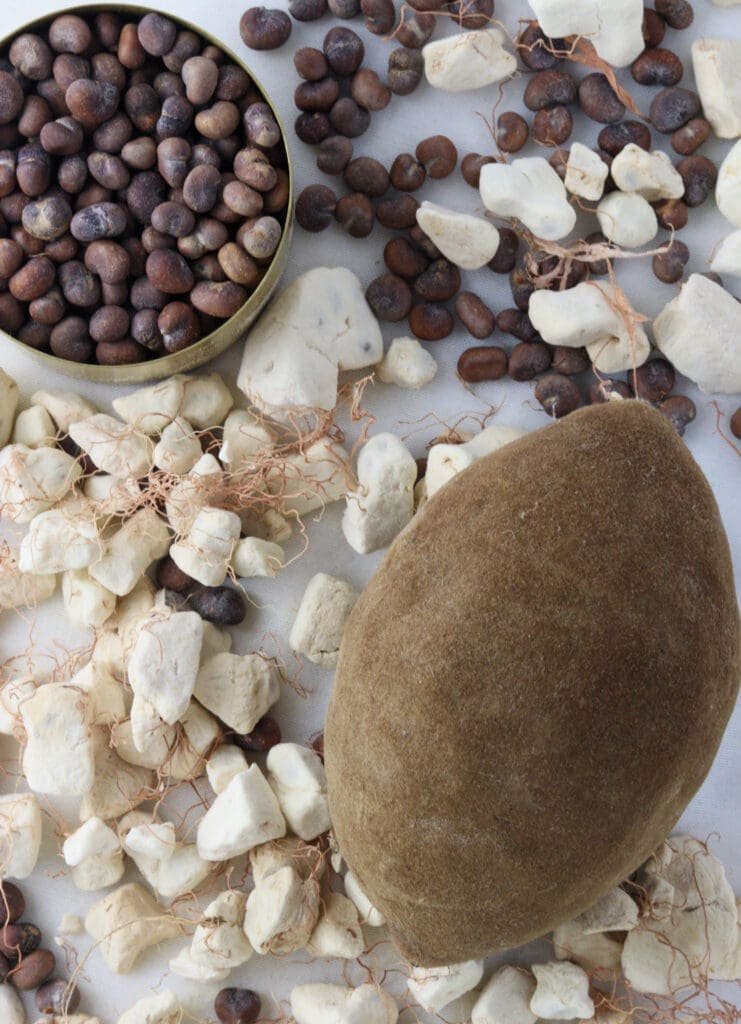 Dry baobab pod, dry baobab fruit pulp with seeds, seed fiber and dried baobab seeds.