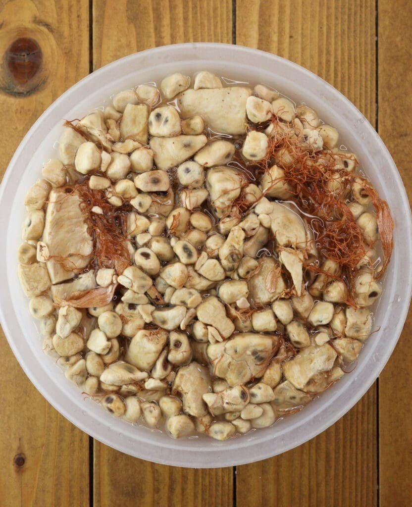 How to soak baobab fruit pup in water.