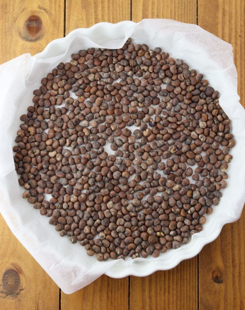Sun dried baobab seeds in a baking pan prepared for roasting.