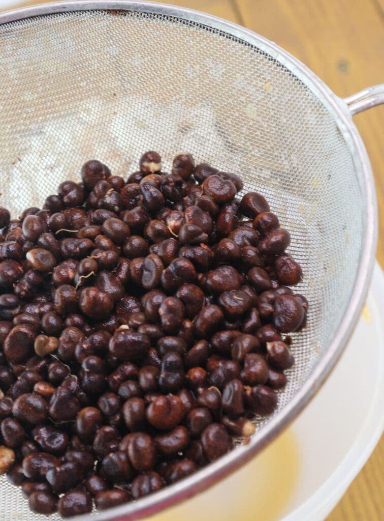 How to strain washed baobab seeds.