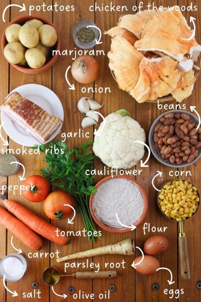 An image of ingredients needed for chicken of the woods minestra soup.