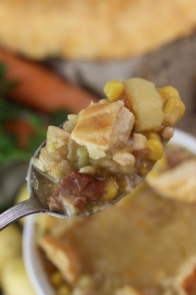 A spoonfull of the chicken of the woods minestra soup.