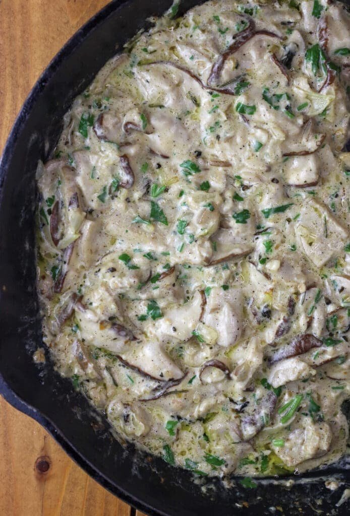 porcinis cooked with cream and sprinkled with fresh parsley