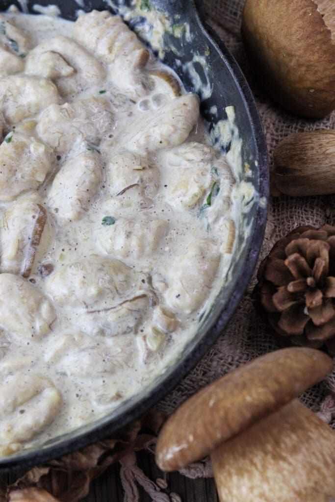 Image of cooked gnocchi topped with delicious porcini mushroom sauce