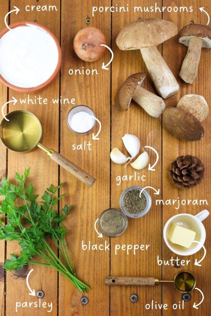 Image of ingredients needed for porcini mushroom sauce: Fresh or dry porcini mushrooms, cream, white wine, butter, olive oil, onion, garlic, salt, black pepper and fresh parsley.