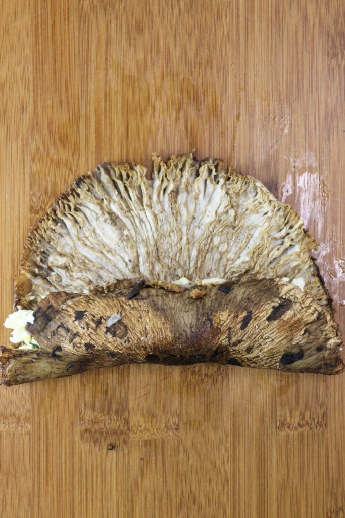 How to roll the mushrooms with the filling in a tight roll.