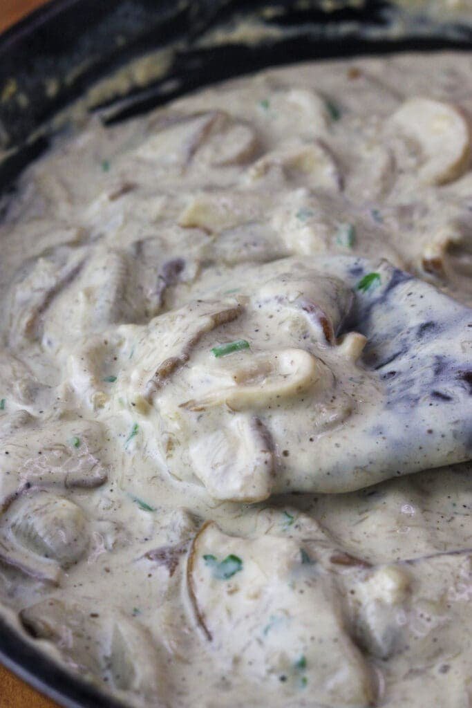 Image of classic creamy porcini sauce cooking in a pan