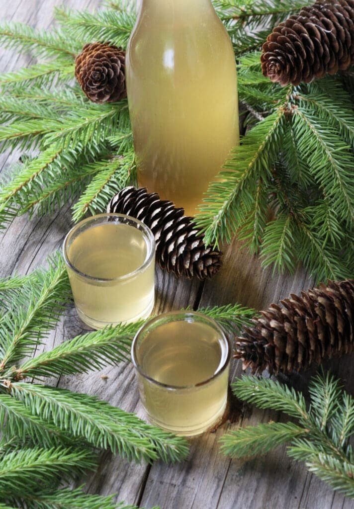 Two small shots of freshly made spruce tip syrup served on a wooden table.
