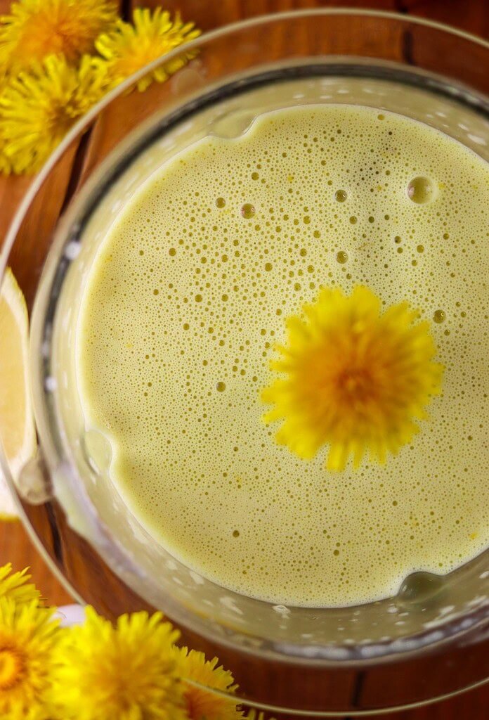 Blending dandelion flower petals with the heavy cream honey mixture to prepare the posset filling.