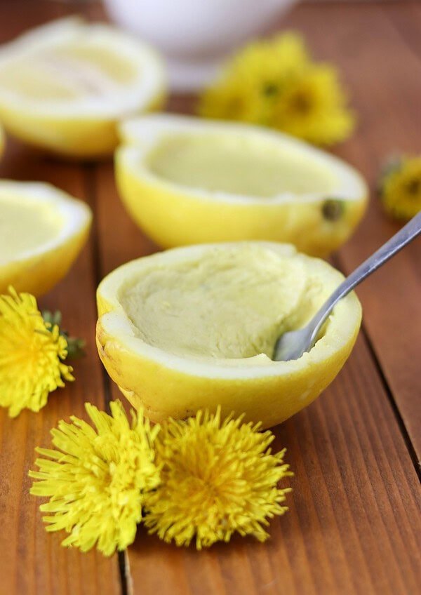 A spoonful of dandelion dessert scooped from a lemon posset shell, showing the creamy honey filling, with flowers and a wooden board in the background.