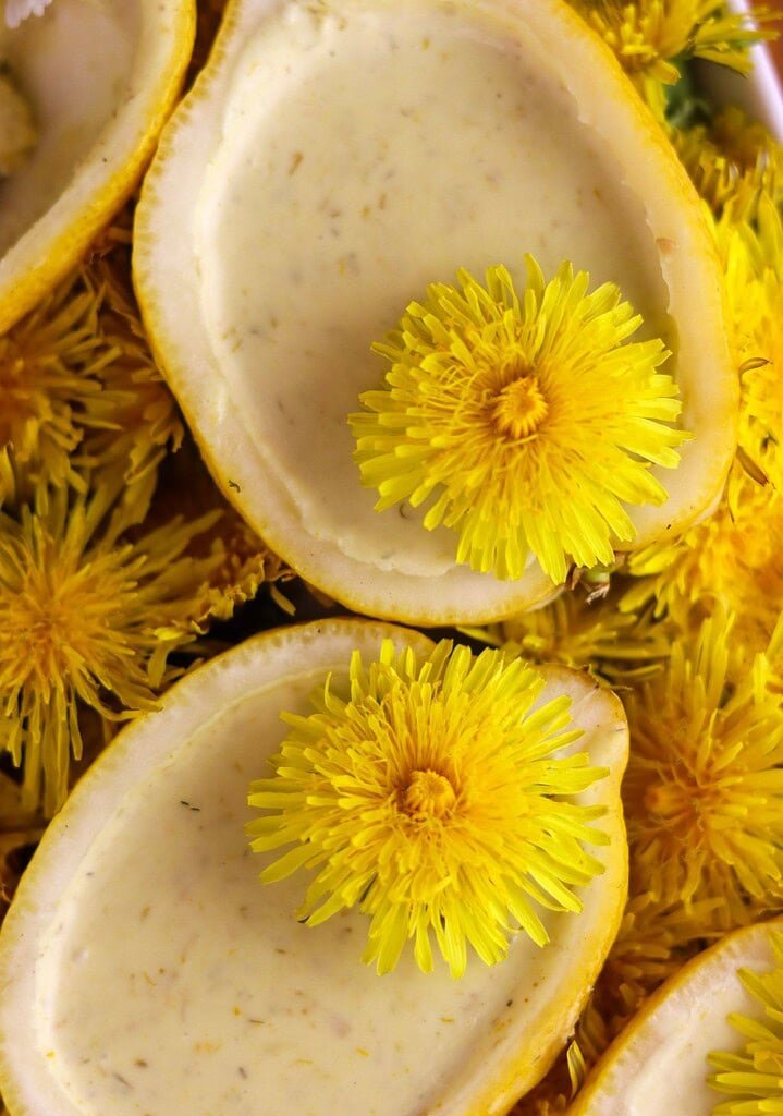Two yellow dandelion dessert shells on a plate that's filled with dandelion flowers around the dessert. 