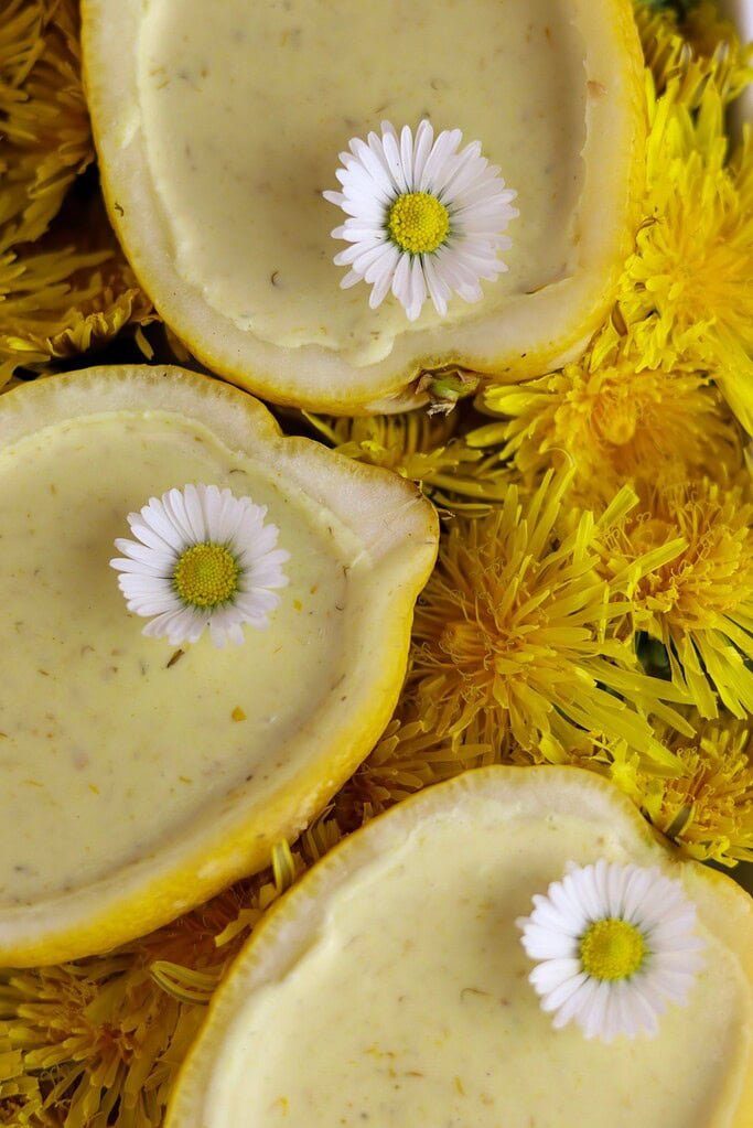 Dandelion dessert cups with dandelion petals, decorated with daisies, with dandelion flowers in the background.